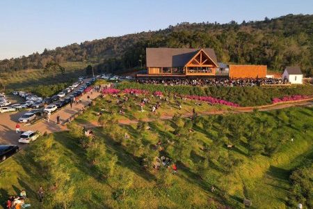 Olivas de Gramado