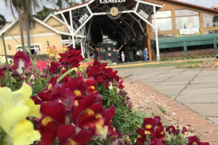 Estação Campos de Canella