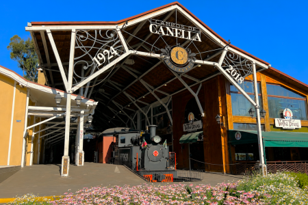 Estação Campos de Canella