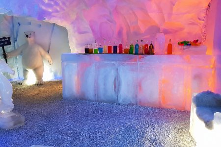 Ice Bar Mundo Gelado