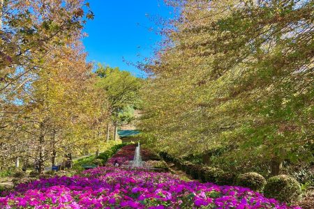 Garden Park