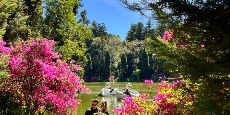 Lago Negro