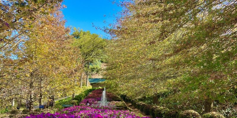 Garden Park