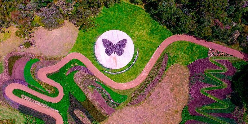 Mátria - Parque de Flores