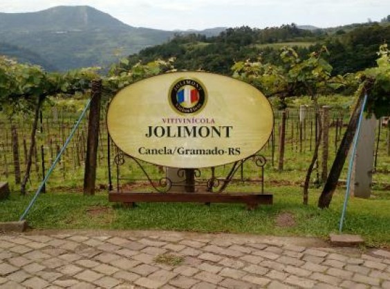 Vitivinícola Jolimont - Foto 1 de 1