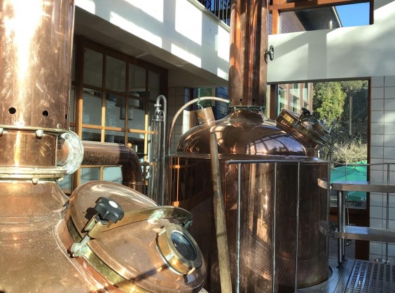 Cervejaria Farol com Degustação e visita à Fábrica - Foto 11 de 1