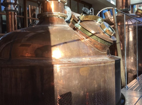 Cervejaria Farol com Degustação e visita à Fábrica - Foto 12 de 1