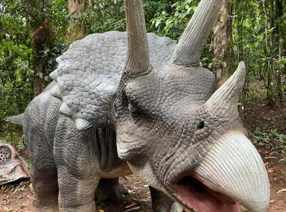 Vale dos Dinossauros - Foto 7 de 1