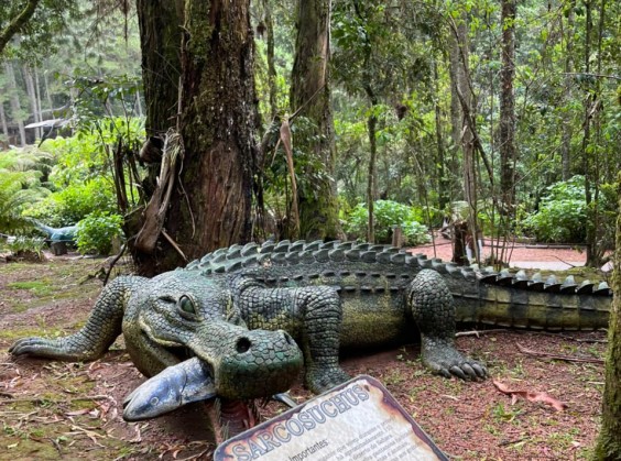 Vale dos Dinossauros - Foto 8 de 1