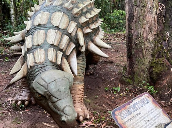 Vale dos Dinossauros - Foto 11 de 1