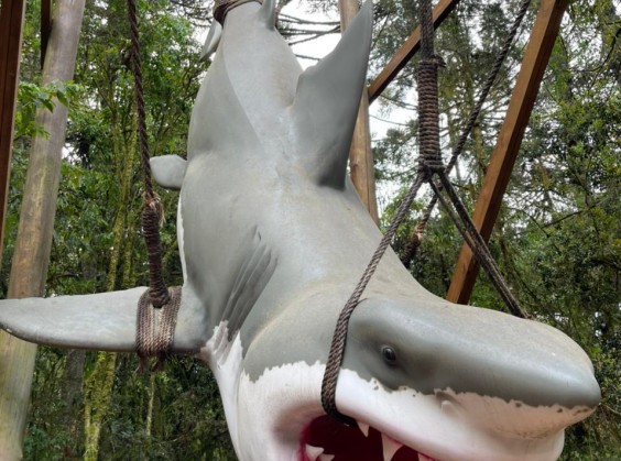 Vale dos Dinossauros - Foto 22 de 1