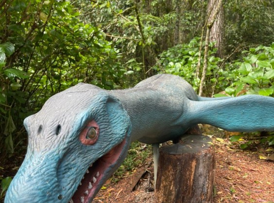 Vale dos Dinossauros - Foto 12 de 1