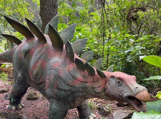Vale dos Dinossauros - Foto 2 de 1