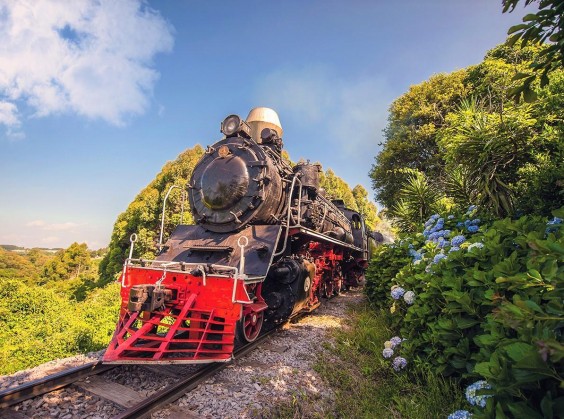 Tour Trem e Vinho - Com Trem Maria Fumaça e Epopeia Italiana! - Foto 4 de 1