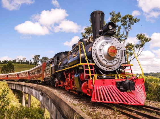 Tour Trem e Vinho - Com Trem Maria Fumaça e Epopeia Italiana! - Foto 3 de 1