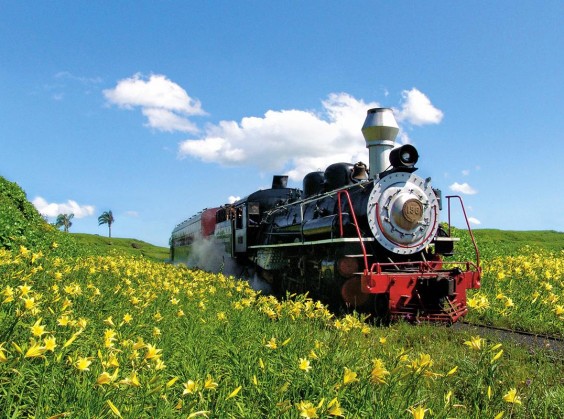 Tour Trem e Vinho - Com Trem Maria Fumaça e Epopeia Italiana! - Foto 2 de 1