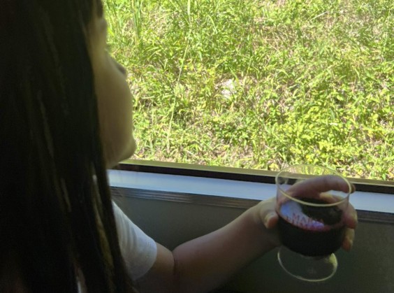 Tour Trem e Vinho – Maria Fumaça e Epopeia Italiana - Foto 11 de 1