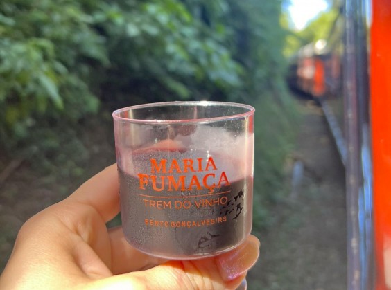 Tour Trem e Vinho – Maria Fumaça e Epopeia Italiana - Foto 3 de 1