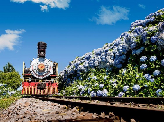 Tour Trem e Vinho – Maria Fumaça e Epopeia Italiana - Foto 20 de 1