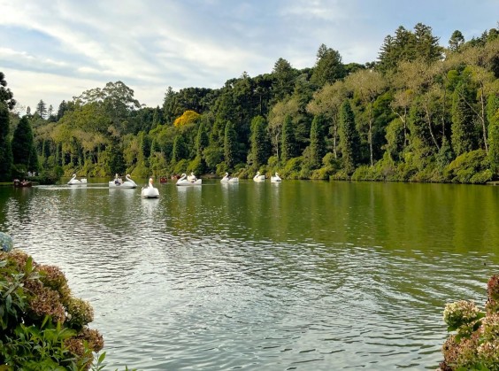 Lago Negro - Foto 9 de 1