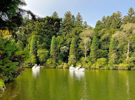 Lago Negro - Foto 8 de 1