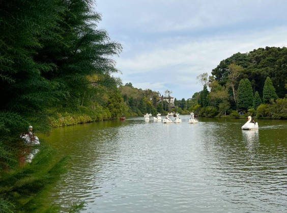 Lago Negro - Foto 7 de 1