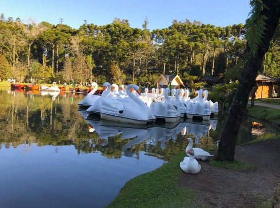 Lago Negro - Foto 4 de 1