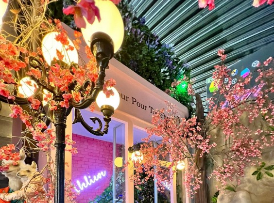 Selfie Gramado - Foto 1 de 1
