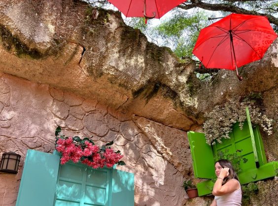 Jardim do Amor - Foto 17 de 1