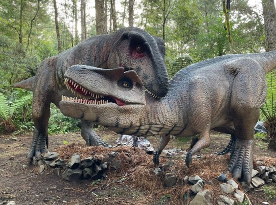 Vale dos Dinossauros - Foto 1 de 1