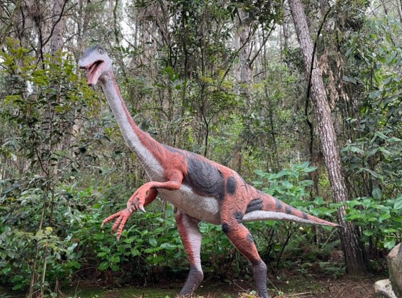 Vale dos Dinossauros - Foto 20 de 1