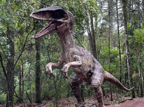 Vale dos Dinossauros - Foto 4 de 1