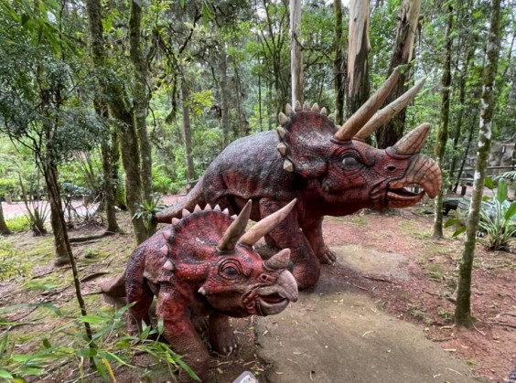 Vale dos Dinossauros - Foto 9 de 1