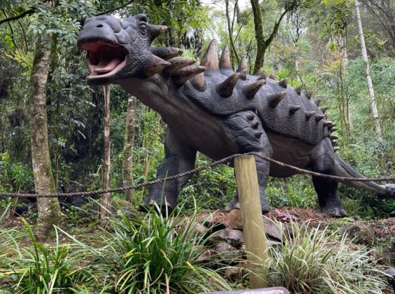 Vale dos Dinossauros - Foto 23 de 1
