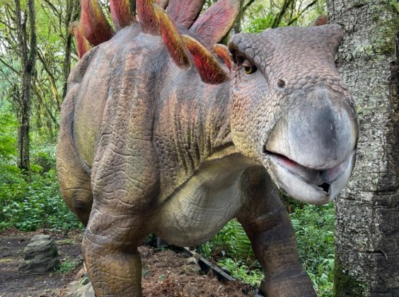 Vale dos Dinossauros - Foto 17 de 1