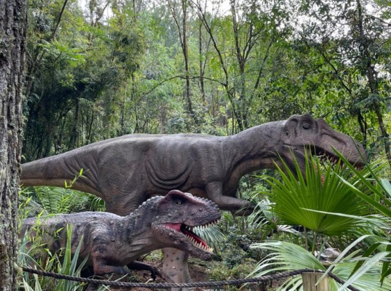 Vale dos Dinossauros - Foto 13 de 1
