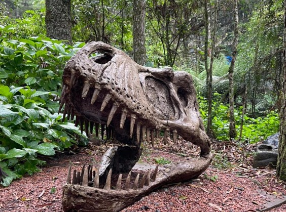 Vale dos Dinossauros - Foto 3 de 1