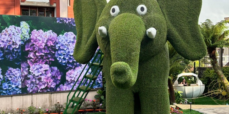 Rua Torta de Gramado ganha parque inspirado no Miracle Garden de Dubai Rua Torta de Gramado ganha parque inspirado no Miracle Garden de Dubai