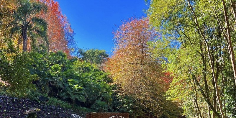 Folhas douradas, ar fresco e um cenário de cinema: o outono em Gramado é simplesmente inesquecível! Folhas douradas, ar fresco e um cenário de cinema: o outono em Gramado é simplesmente inesquecível!