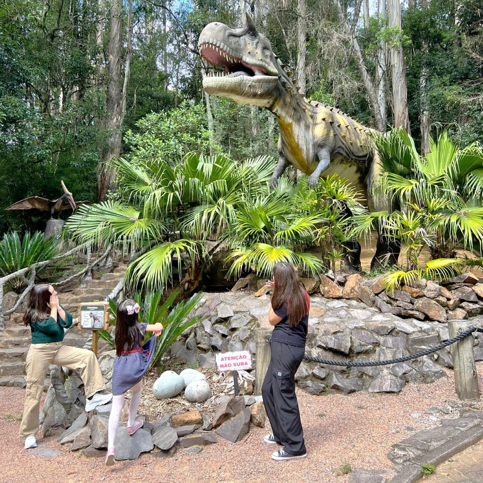 Diversão em Família: Passeios Imperdíveis em Canela/RS para Crianças