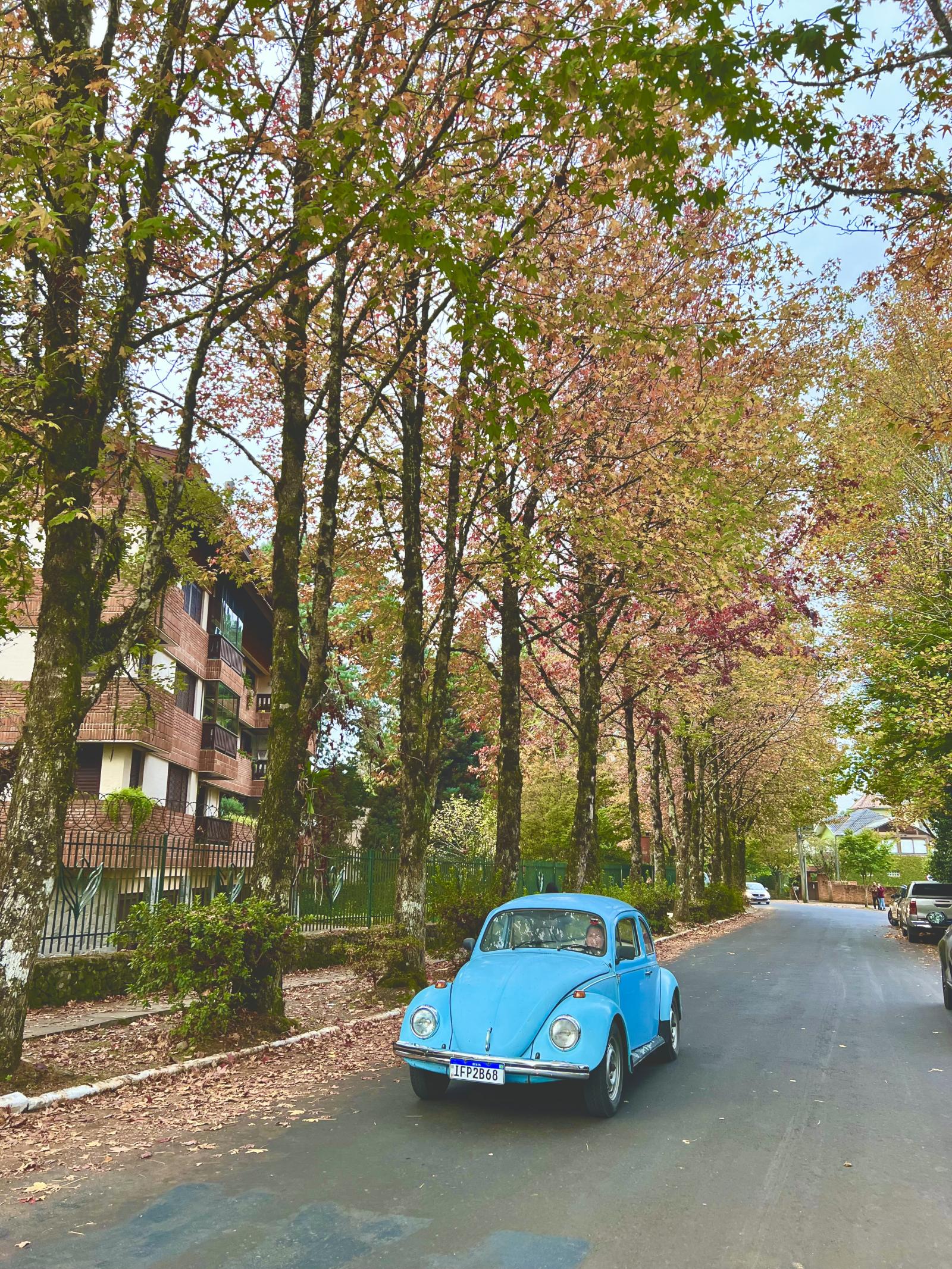 Folhas douradas, ar fresco e um cenário de cinema: o outono em Gramado é simplesmente inesquecível!